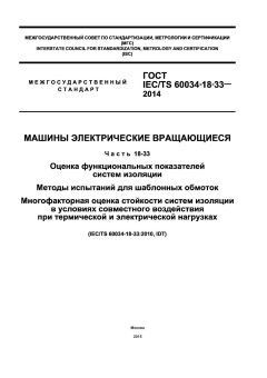 GOST IEC/TS 60034-18-33-2014