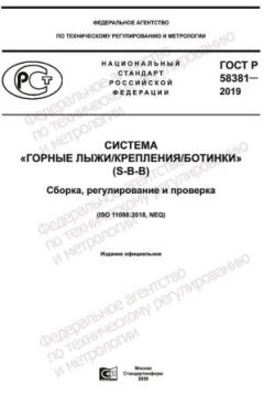 GOST R 58381-2019