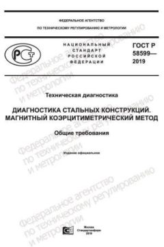 GOST R 58599-2019