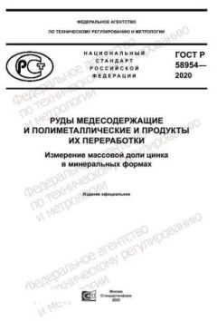 GOST R 58954-2020